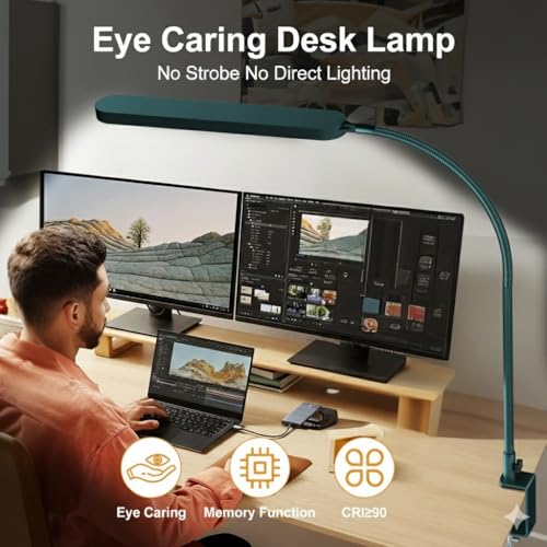 LED Desk Lamp - Desk Light for Home Office - Flexible Gooseneck - 5 Color Modes X 11 Brightness Levels - 1300LM - Timmer & Memory Function - 12W Clip on Light - Green - style: Green gooseneck