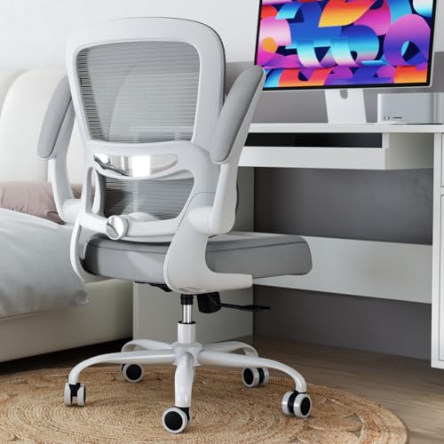 TRALT Office Chair - Ergonomic Desk Chair with Adjustable Lumbar Support, Mesh Computer Chair, Executive Chair for Home Office Comfortable Lumbar Support (1, Ash Gray) - color: Ash Gray