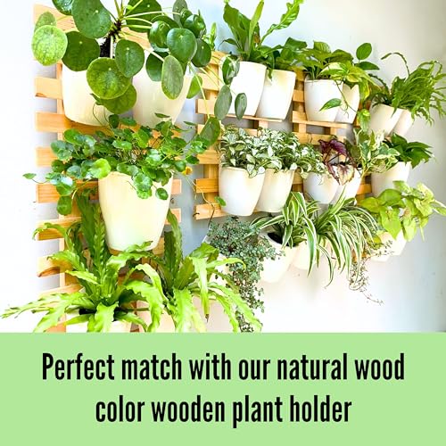 LaLaGreen Wall Planter for Indoor Plants (5in, 10 Pack) White Self-Watering | Wall Mounted Living Hanging Eco Wall Planter System, Trendy Live Wall Garden for Herb - size: 5" (12.5 cm)