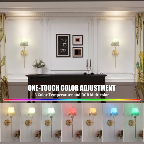 Shenmoyl Battery Operated Wall Sconces Set of 2, Flower Pattern Shade 5000 mAh Rechargeable Bulb with 12 RGB Colors Dimmable Wall Sconce for Living Room Bedroom - color: Leaf Shade