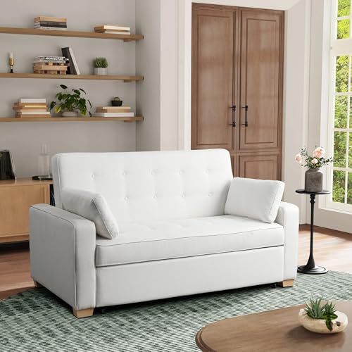 Serta® Ainsley Convertible Loveseat Sleeper Sofa – 3-in-1 Loveseat, Lounger & Queen-Size Sofa Bed, Pull-Out Sleeper Couch with DreamCoils®, Easy Assembly, Oyster Fabric - color: Oyster, size: Queen Sofa