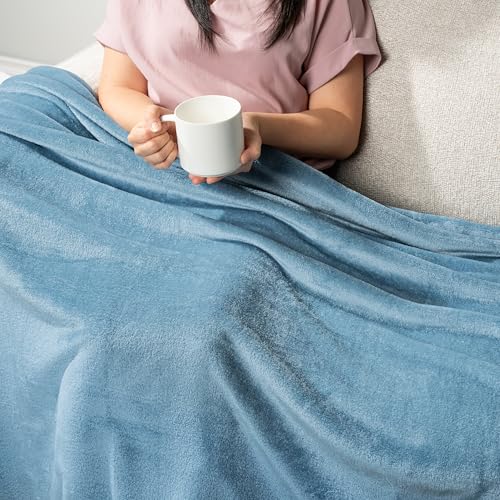 PAVILIA Fleece Blanket Throw Twin Size | Super Soft, Plush, Luxury Flannel Throw | Lightweight Microfiber Blanket for Sofa Couch Bed (Dusty Blue, 60x80 inches) - color: Dusty Blue, size: 60 x 80 Inches - Twin