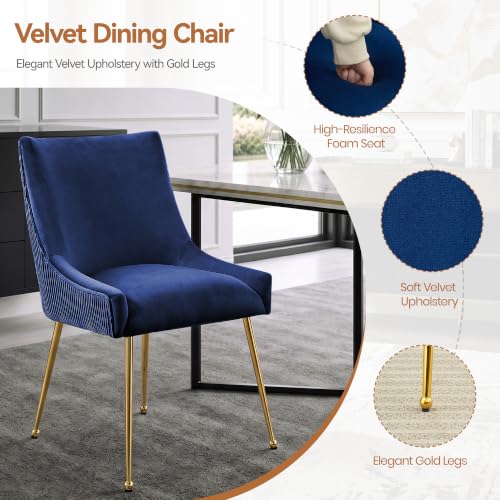 WUTUTUEE Velvet Dining Chairs Set of 2 Gold Legs,Upholstered Velvet Accent Chairs, Pleated Back Design & Gold Pull Handle, Mid Century Modern Chairs for Dining/Kitchen/Living Room,Blue - color: Blue, size: Set of 2