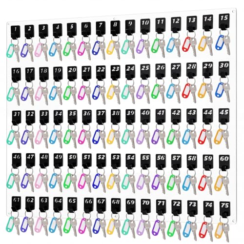 Beeveer Acrylic Key Holder Board with 75 Hooks, Wall Mount Organizer, Clear | Ideal for Offices, Schools, Hotels and Dealerships, Durable Acrylic Construction, Numbered Key Slots, Easy Wall Mount Design - color: Clear, size: 75 Hooks, style: Hook Only