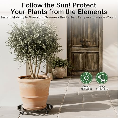 22" Round Metal Plant Caddy with Wheels Heavy Duty, 600lbs Capacity Rust-Proof Plant Stand with Lockable Caster Wheels, Rolling Plant Dolly for Large Planter Pots & Heavy Objects, Indoor Outdoor - size: 22-Inch