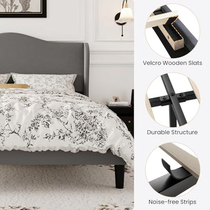 SHA CERLIN Queen Size Bed Frame with Curved Wingback Headboard, Soft Grey | Modern Luxury Design Velvet Platform Bed with Sturdy Wooden Slats,Noise-Free, No Box Spring Needed, Easy Assembly - color: Soft Grey, size: Queen