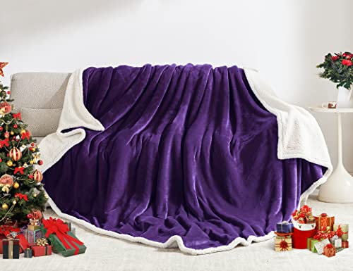BEAUTEX Sherpa Fleece Twin Blankets Soft Fluffy Flannel Plush Cozy | Fuzzy Purple Cuddle Blanket for Couch, Bed, Sofa, Adults (60" x 80", Purple) - color: Purple, size: Twin-60"x80"