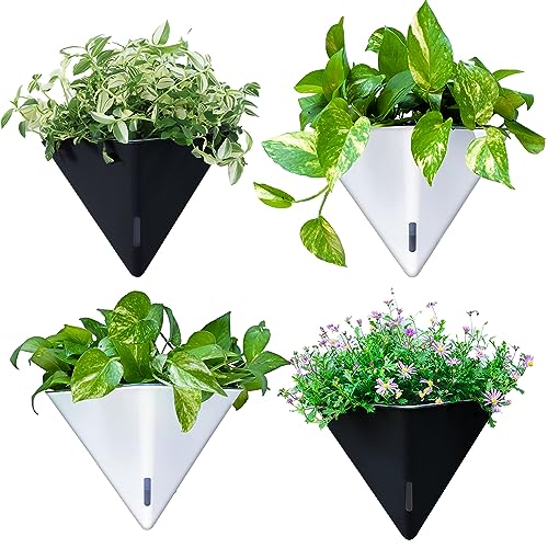 LaLaGreen Wall Planters for Indoor Plants (12in, 4 Pack) Self Watering Pots | Large Black and White Mixed Color Geometric Indoor Vertical Garden Wall Hanging Flower Vase Vessel with Metal Hanger Stylish - color: Black X 2 Pack & White X 2 Pack