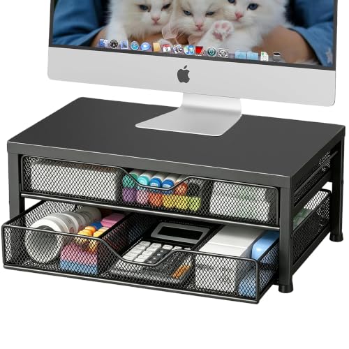 Desk Organizer and Accessories, 2-Tier Computer Monitor Stand Riser with 2 Drawer and 2 Pen Holders, Laptop Stand, Office Desk Accessories for Office Supplies, Black - color: Black, size: Double Drawer