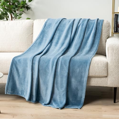 PAVILIA Fleece Blanket Throw Twin Size | Super Soft, Plush, Luxury Flannel Throw | Lightweight Microfiber Blanket for Sofa Couch Bed (Dusty Blue, 60x80 inches) - color: Dusty Blue, size: 60 x 80 Inches - Twin