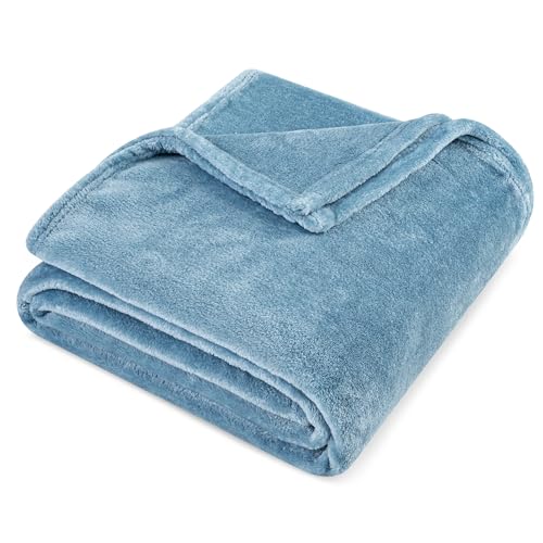 PAVILIA Fleece Blanket Throw Twin Size | Super Soft, Plush, Luxury Flannel Throw | Lightweight Microfiber Blanket for Sofa Couch Bed (Dusty Blue, 60x80 inches) - color: Dusty Blue, size: 60 x 80 Inches - Twin