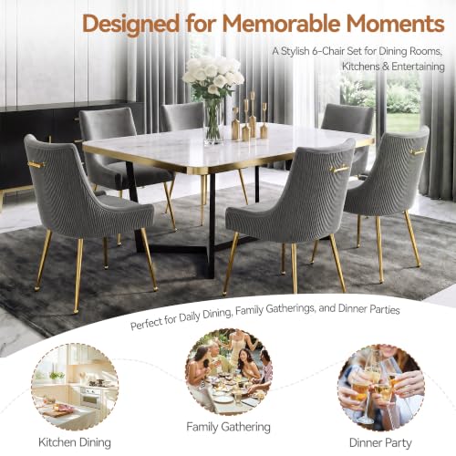 WUTUTUEE Velvet Dining Chairs Set of 6 Gold Legs,Upholstered Velvet Accent Chairs, Pleated Back Design & Gold Pull Handle, Mid Century Modern Chairs for Dining/Kitchen/Living Room,Light Grey - color: Light Grey, size: Set of 6