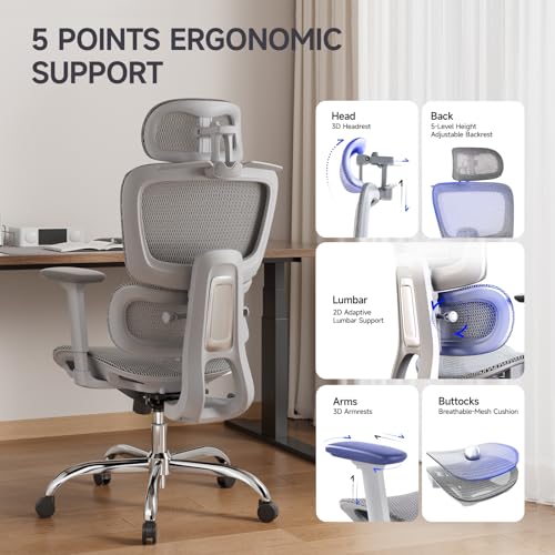Ergonomic Office Chair with 3D Headrest, Computer Chair with Adjustable Backrest & 3D Armrest, Gaming Chair with Adaptive Lumbar Support, Mesh Backrest & Cushion, Grey - color: Grey, style: Eco
