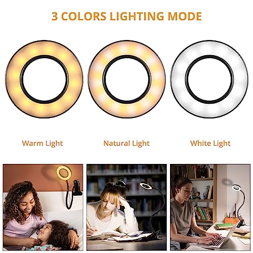 Woputne Desk Lamps Clip on Reading Light for Bed Home Office Craft (Black) | With 5V 2A Adapter, 10 Dimmable Brightness 3 Modes, Flexible Neck Light Desk Lamps for Home Office Headboard - size: Black-1 Piece-Standard-With Adapter