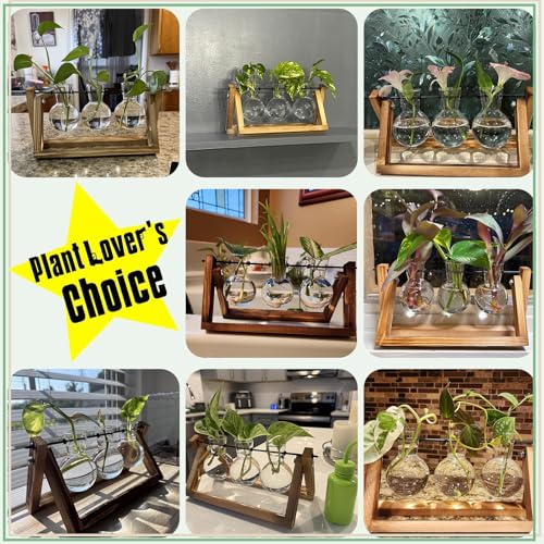 XXXFLOWER Plant Terrarium with Wooden Stand, Air Planter Bulb Glass Vase Metal Swivel Holder Retro Tabletop for Hydroponics Home Garden Office Decoration - 3 Bulb Vase | Air Planter Flower Glass Vase Retro for Hydroponics Cutting Home Garden Office Decora