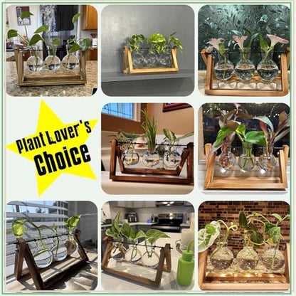 XXXFLOWER Plant Terrarium with Wooden Stand, Air Planter Bulb Glass Vase Metal Swivel Holder Retro Tabletop for Hydroponics Home Garden Office Decoration - 3 Bulb Vase | Air Planter Flower Glass Vase Retro for Hydroponics Cutting Home Garden Office Decora