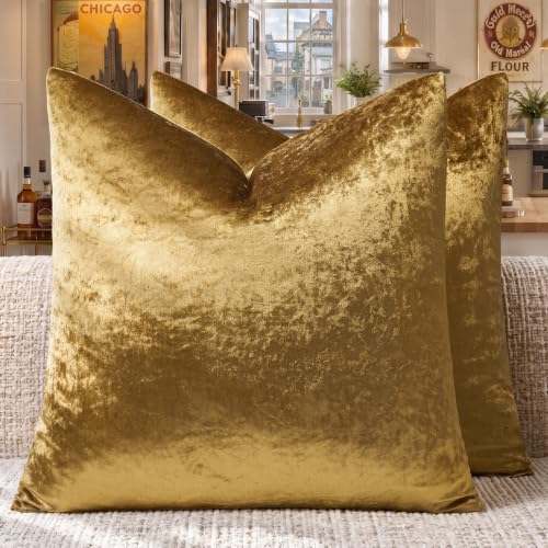 GIGIZAZA Gold Velvet Pillow Covers 26x26 Decorative Pillows Pack of 2 | Throw Pillows for Couch,Euro Sham,300gsm Soft Textured Fabric,Modern Square Pillowcases,Luxury Cushion Covers - color: Gold, size: 26" x 26" (Pack of 2)