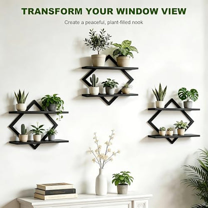 Set of 3 Wall Plant Holder, Black | Wall Planters for Indoor Plants, Window Plant Shelves, Floating Wall Shelves, For Plants, Books, Photos - color: Black-3pack
