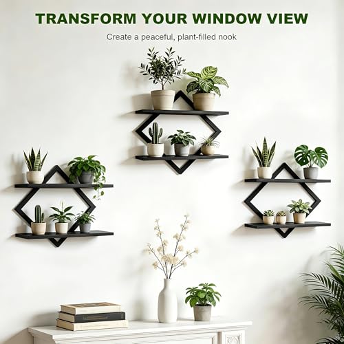 Set of 3 Wall Plant Holder, Black | Wall Planters for Indoor Plants, Window Plant Shelves, Floating Wall Shelves, For Plants, Books, Photos - color: Black-3pack