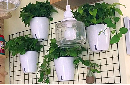 5 Pack Visible Water Level Self Watering Planter with Inner Pot,Hanging Planters,Wall Mounted Plants Holder,Small Flower pots Indoor Out Flowerpot with 5 Hooks for All House Plants (White) - size: 4.25 Inch