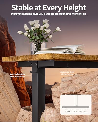 BIZUM Standing Desk Electric Adjustable Computer Desk-Stand up Desk Office Gaming Home Office Memory Desks 48x24 inches Black Frame/Rustic Brown Top - color: Rustic Brown, size: 47.2*23.6 Inch