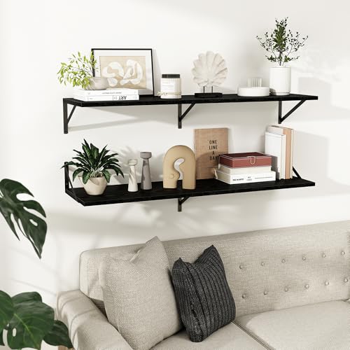 Dreamland Wall Mounted Floating Shelves Set of 2, 16x8, Black | Engineered Wood, Visible Bracket, Large Storage, Hold Up to 30lbs, Living Room, Bathroom, Bedroom, Kitchen - color: Black, size: 16"W x 8"D
