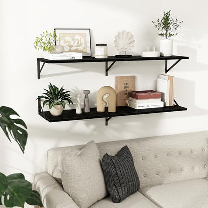 Dreamland Wall Mounted Floating Shelves Set of 2, 16x8, Black | Engineered Wood, Visible Bracket, Large Storage, Hold Up to 30lbs, Living Room, Bathroom, Bedroom, Kitchen - color: Black, size: 16"W x 8"D