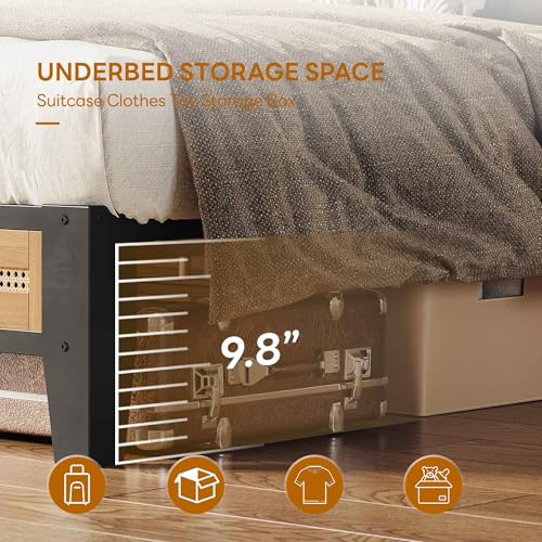 LIKIMIO Twin Rattan Bed Frame with Headboard, Boho Metal Platform Bed | Rattan headboard, 650 lb support, metal slats, EVA pads, 9.8-inch underbed clearance, no box spring needed. - size: Twin