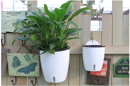 Visible Water Level Self Watering Planter,Hanging Planters,Wall Mounted Plants Holder,Small Flower pots Indoor Out Flowerpot with 3 Hooks Plastic Pots for Plants 3 Pack (White, 5.5inch) - size: 5.5 Inch