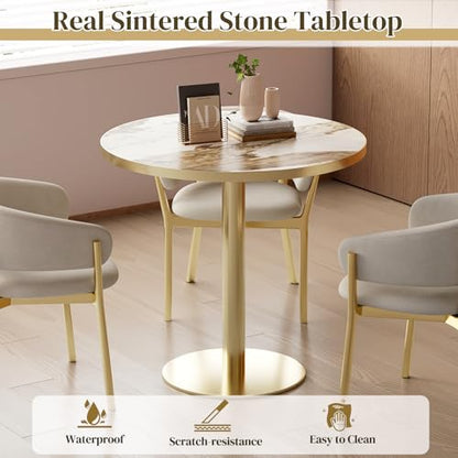 31.5" Circle Tulip Table with Sintered Stone Tabletop, Gold Edge & Pedestal | Modern Round Dining Table, Leisure Bistro Table for Kitchen, Small Places, Living Room, Cafe, Restaurant (Platinum Cloud) - color: Platinum Cloud (Golden Edge), size: Round