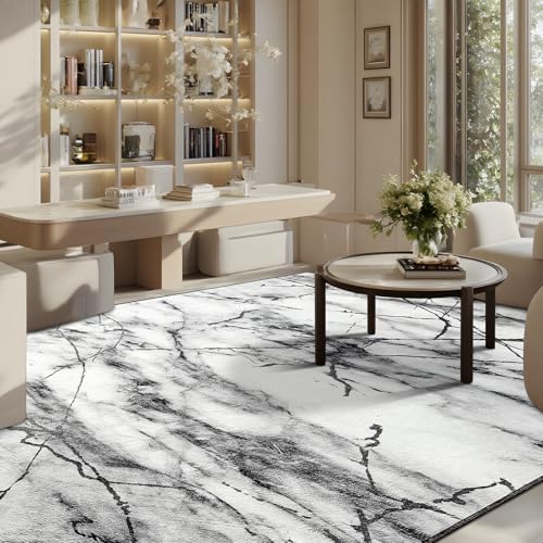 CRYPTOLITE Abstract Area Rug Washable Rug with Non-Slip Backing Low Pile Area Rugs for Living Room, Bedroom, Dining Room,4x6, Silver&Grey - color: Marble - Silver Grey, size: 4' x 6' (Rectangular)