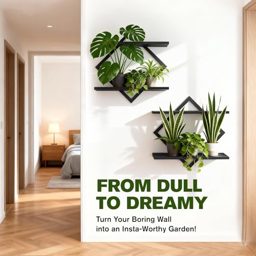 2 Pack Wall Planters for Indoor Plants, Black | 2-Tier Floating Wall Shelves, Wall Mounted Plant Holder Stand, For Bathroom Living Room Bedroom Kitchen Office - color: Black-2pack
