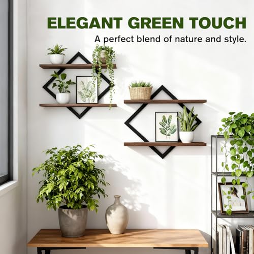 2 Pack Floating Wall Shelves Plant Holders, Brown | For Indoor Plants, Wall Mounted Plant Stand, For Small Plants, Multi-Room Use - color: Rustic Brown-2pack