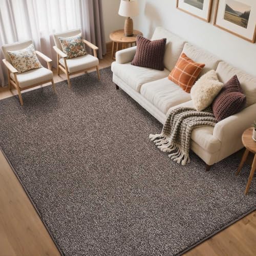 5x7 Brown/White Area Rug Non-Slip Washable Soft for Living Room Bedroom | Soft丨Stays Put丨Low Pile Thin丨Lays Flat丨Kid & Pet Friendly丨Dorm丨Dining Room丨Nursery丨Indoor丨Laundry丨Kids Room丨Carpet丨Home Decor - color: Brown, size: 5' x 7' (Rectangular)