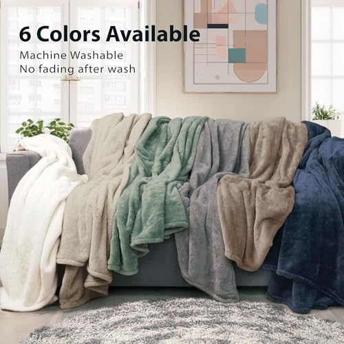 DEZ FURNISHINGS Ultra Soft Plush Fleece Throw Blanket, Double Sided Cozy Thick Warm Blanket for Sofa & Bed, Twin (66" x 90"), Light Gray - color: Light Gray, size: Twin (66" x 90")