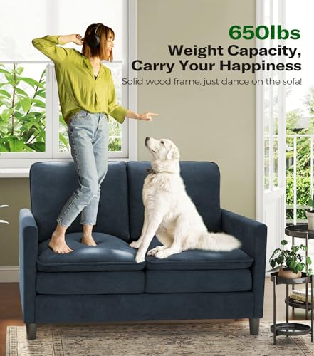Welzona 3-Layers Cloud Loveseat Sofa, 51" Small Couch, Teddy Small Sofa | Comfy Teddy Fabric, Washable Covers, Tool-Free Setup, All-wood Futon Couch for Living Room, Bedroom, Small Spaces, Blue Grey - color: Blue Grey, size: cloud loveseat