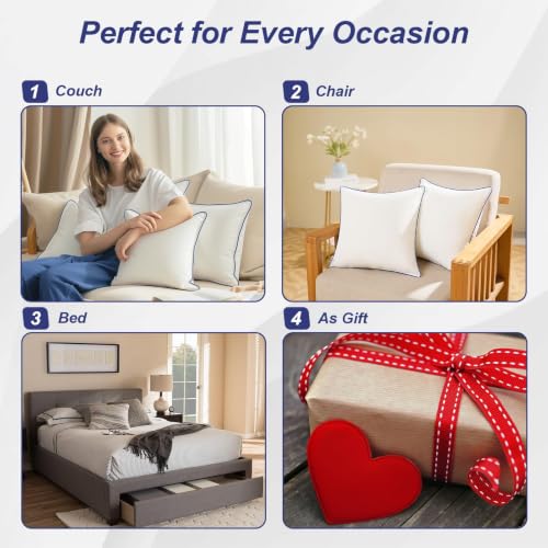 20x20 Pillow Inserts Set of 2, Soft Hypoallergenic Square Throw Pillow Inserts for Couch, Sofa – Oeko-TEX Certified Virgin Down Alternative Filling, Machine Washable - color: Blue, size: 20x20 Inch (Set of 2)