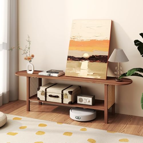 HollyHOME Bamboo TV Stand with Storage for TVs up to 65", Modern Entertainment Center with Rattan Side, Accent TV Table with 2 Shelf, Media Console TV Stand for Living Room, Bedroom, Walnut - color: Walnut Rattan Side