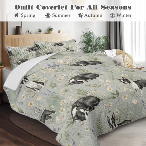 Boston Terrier Floral Quilt Twin Quilt Set Twin | Microfiber; Soft; Lightweight; Bedding; BlessLiving Boston Terrier Floral Quilt Twin; Set; Cute; Small; Botanical; Dog - color: Boston Terrier, size: Twin（70"Wx90"L）