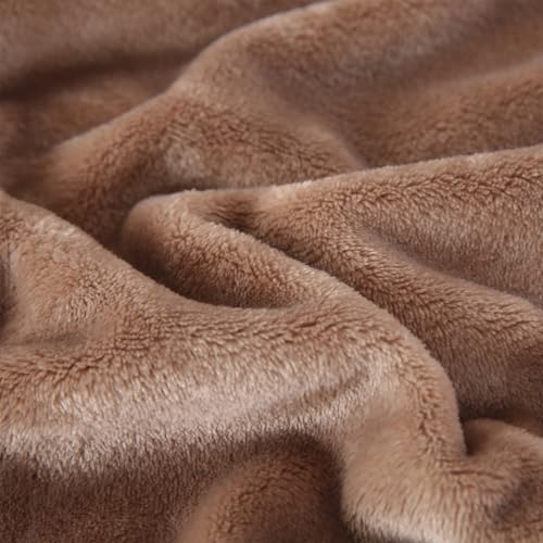 TASTHROW Lightcoffee Throw Blanket 60x80 Inches | Soft Plush Cozy Fleece Flannel Throw Blanket, Lightweight Warm Throws for Bed, Couch, Bedroom and Living Room, All Seasons - color: Lightcoffee, size: 60"x80"