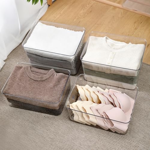 4 Large Lidded Plastic container, Clear Stackable Storage Boxes for Cabinets, Organization and Storage for Shelves Office Bathroom - size: 4Large