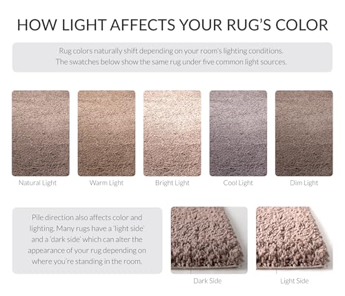 SAFAVIEH August Shag Collection Accent Rug - 2'3" x 4', Taupe, Solid Design, Non-Shedding & Easy Care, 1.2-inch Thick Ideal for High Traffic Areas in Entryway, Living Room, Bedroom (AUG900R) - color: Taupe, size: 2'3" x 4' (Rectangular)