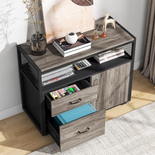 Tribesigns Modern File Cabinet with Drawers for Letter-Sized File and Door, Lockable lateral Filing Cabinet Printer Stand with Storage Shelves and with Rolling Caster for Home Office (Gray) - color: Grey