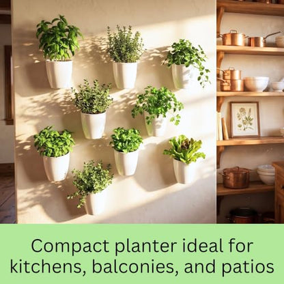 LaLaGreen Self-Watering Wall Planters (4in, 10 Pack) White Indoor Plants | Wall Mount Planter Plant Holder, Modern Hydroponic Wall Pots Vertical Living Plant Garden Decor - size: 4" (10 cm)