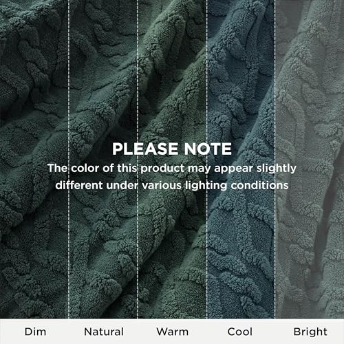 Bedsure Gentlesoft Sherpa Queen Size Blanket for Bed - Fleece Fluffy & Cozy Cable Jacquard Tufted for Women Gift, Thick and Warm Christmas Blanket for Winter, Dark Green, 90x90 Inches | Ultra-Soft, Cozy, Thick for Winter, Queen Size for Bed, Living Room,