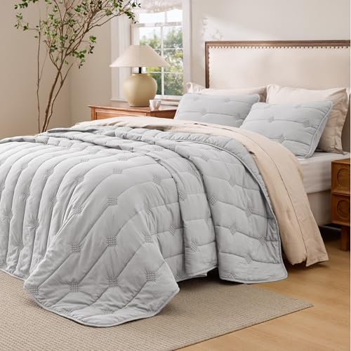 Bedsure Lightweight Comforter Queen Size – Extra Soft & Breathable Quilt Set, 3 Piece Prewashed Cotton-Like Polyester Bedding, Includes 1 Quilt 90x96 Inches with 2 Shams, Machine Washable, Light Grey - color: 02 - Light Grey, size: Queen / Full (90" x 96"