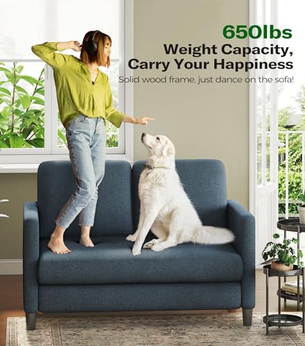 Welzona Loveseat, 51" Small Couch, Teddy Love Seat, Small Loveseat Sofa | Comfy Teddy Fabric, Tool-free Setup, Washable Covers, All-wood Small Sofa Couch for Living Room, Bedroom, Blue Grey - color: Blue Grey, size: loveseat