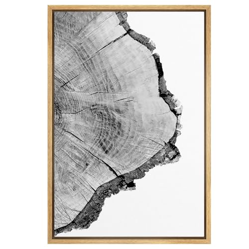 SIGNWIN Framed Canvas Print Wall Art Detailed Wood Rings of Tree Nature Wilderness Photography Realism Rustic Dramatic Grey Black and White for Living Room, Bedroom, Office - 16"x24" Natural - color: B03-21022-spl16, size: 24"L x 16"W