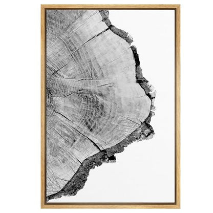 SIGNWIN Framed Canvas Print Wall Art Detailed Wood Rings of Tree Nature Wilderness Photography Realism Rustic Dramatic Grey Black and White for Living Room, Bedroom, Office - 16"x24" Natural - color: B03-21022-spl16, size: 24"L x 16"W