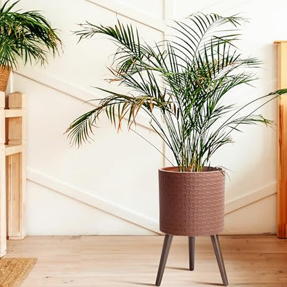 D'vine Dev Planter Pot with Wood Stand, 12 in, Terra Cotta, 88-Z-C-3 | Mid-Century Modern Style, Elevated Plant Display, Drainage Hole and Plug, Functional & Stylish, Modern Indoor Planter - color: Terra Cotta, size: Large